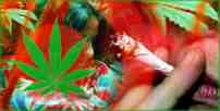 Smoking a joint in fear of an arrest might become a thing of the past in Switzerland [swissinfo / SRI]